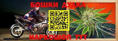 прущие крисы Свободный